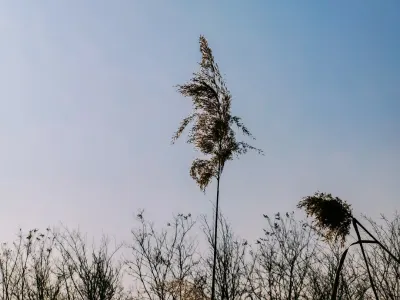 Bit4win Casino Mobil App